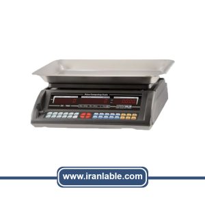 ترازوی توزین صدر مدل DS7003 ظرفیت 30 کیلوگرم